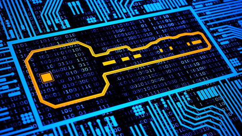 向敏 鏡花水月的場景如何催眠區塊鏈價值創造的核心與未來企業網絡技術服務